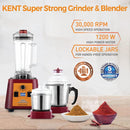 1200W Super Strong Mixer Grinder 16095