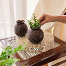 Thenga Coconut Shell Pot Shaped Planter Pots | Ideal for Succulents, Small Cacti, Herbs and Small Plants (Set of 1)