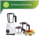 500W Mixer Grinder HL7505