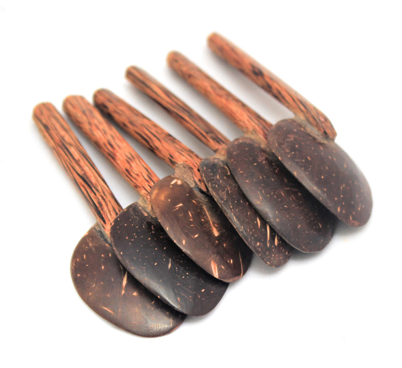 Coconut Shell Masala Spoon Set of 6 for Small Containers | Handmade & Eco-friendly | For Tea, Coffee, Sugar, Spices