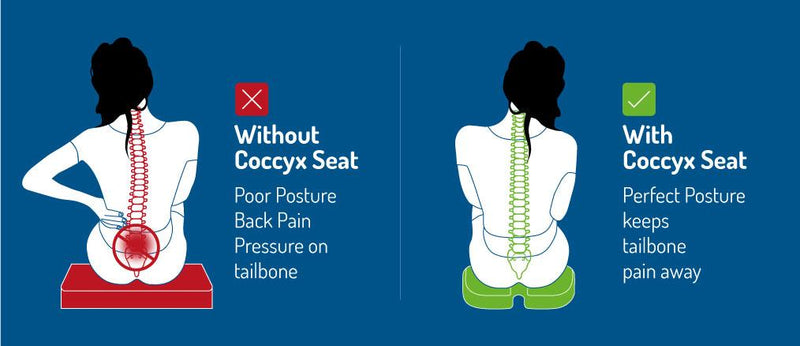 Coccyx Seat - Coccyx (Tailbone) Cushion