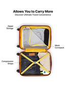 Uppercase Arbor Hard Luggage Trolley Bag  Green