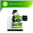 Viva Collection Masticating Juicer - HR1887