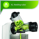 Viva Collection Masticating Juicer - HR1887