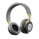 Bash 2.0 Wireless Bluetooth Headphone