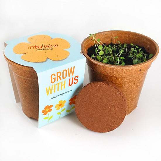 Eco Sprouter Grow Kits