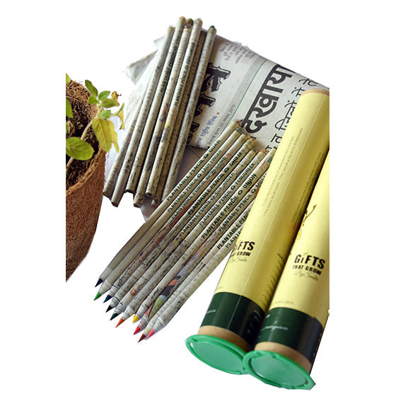 Eco friendly Recycled color pencils that grow