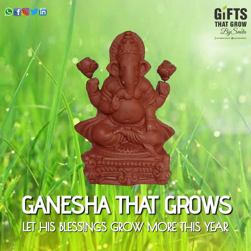 Eco friendly ganesha that grow