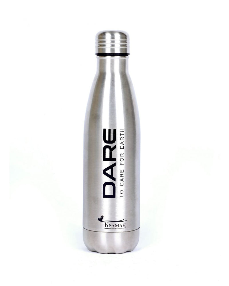 Insulated Stainless Steel Bottle (Silver)