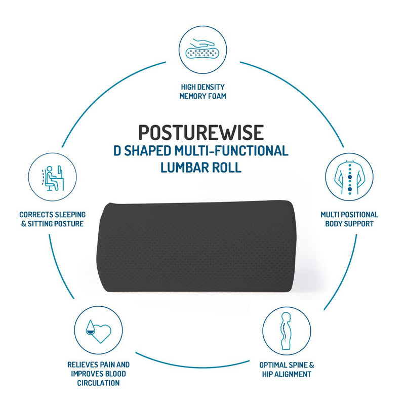 POSTURE WISE D-Shaped Lumbar Roll for Back Pain and Lower Back Support