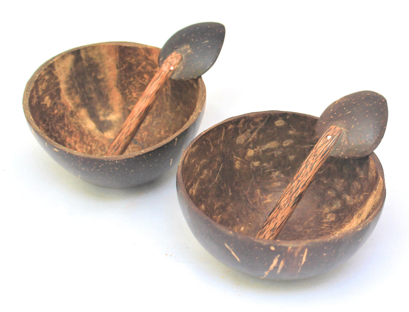 Mini Coconut Bowl /Shell + Spoon (Set of 2, 110 ml) | For serving sauce, chutney, dessert bowl