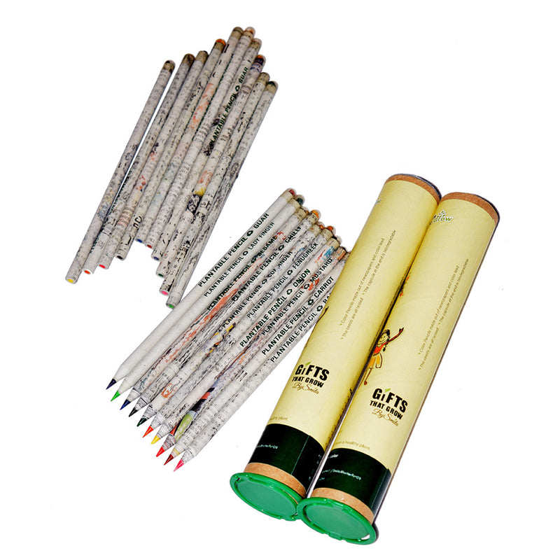 Eco friendly Recycled color pencils that grow