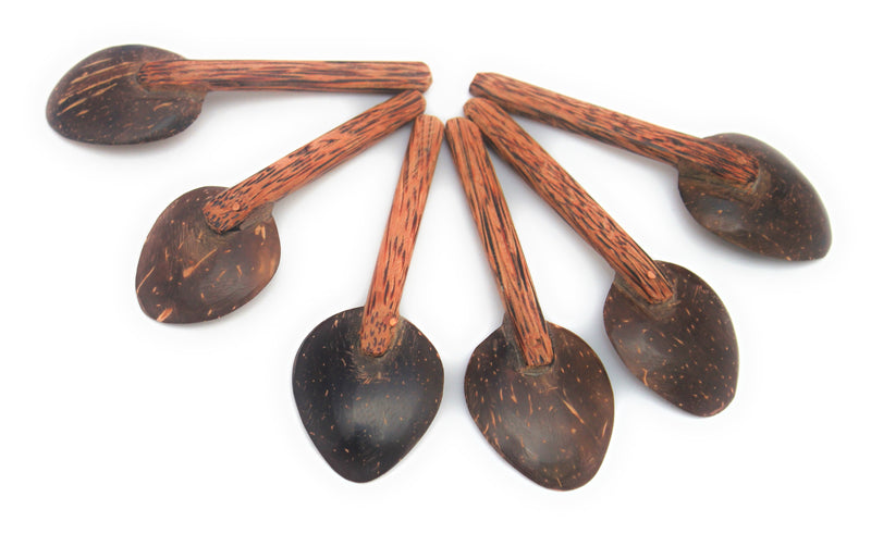 Coconut Shell Masala Spoon Set of 6 for Small Containers | Handmade & Eco-friendly | For Tea, Coffee, Sugar, Spices