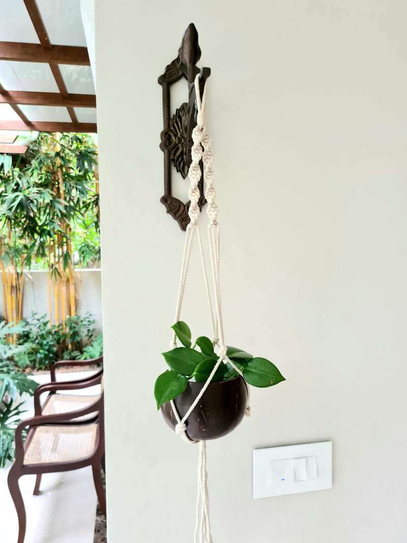 Coconut Shell Macrame Plant Hanger for Indoor & Balcony Gardening (Macrame Hanger & Coconut Shell)