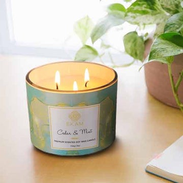 Cedar & Mint 3 Wick Soy Wax Scented Candle