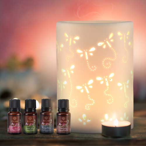 Dragonfly Premium Oil Warmer with Free 4 Fragrance Oil